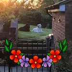 Alison Wright - @alison.abraham.75 - Instagram