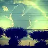 alisonabraham868 - @alisonabraham868 - TikTok