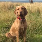 Alison Alderson - @alderson6701 - Instagram