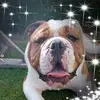 Alison Allison - @alison.allison2 - TikTok