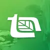 Alison Araujo - @alisonaraujo41 - TikTok