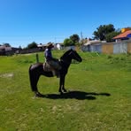 Alisson Araujo - Facebook