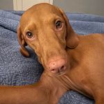 Alison Bacon - @alison_bacon - Instagram