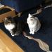 Janet Alison Balfour - Facebook