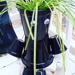 Alison Barrett - @alisonbarrett45 - Instagram