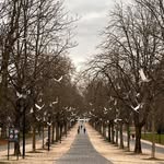 Alison Barrett - @cheep_cheep55 - Instagram