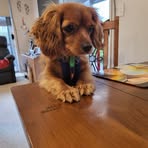Alison Barrett - Facebook