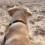 Alison Barry - @alisonbarry1758 - Instagram