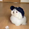 Alison Barry - @alison.barry30 - TikTok