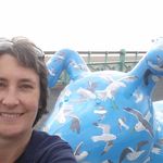 Alison Beal - @alisonbeal9570 - Instagram