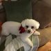 Alison Beatty - Facebook