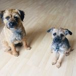 Alison Beatty - @abeatty4473 - Instagram