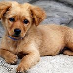 Alison Beatty - @alisonbeatty1060 - Instagram