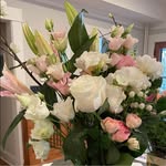 Alison Bender Cohen - @abencohen20 - Instagram