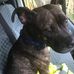 Allison Benton - Facebook