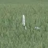 Alison Black - @alison.black757 - TikTok