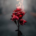 Alison Bowers - Facebook