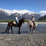 Alison Bowman - @alisonbowman377 - Instagram