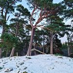 Alison Britton - @alibobo2706 - Instagram