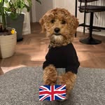 Ali Broadbent - @alison_broadbent - Instagram