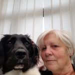 Alison Broad - @alibroadwithlucy - Instagram