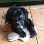 Alison Broadhead - @alisonbroadhead - Instagram