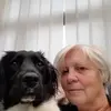 alisonbroad0 - @alisonbroad0 - TikTok