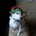 Alison Broad - Facebook