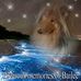 Alison Brooks - Facebook