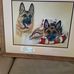 Alison Buckley - Facebook