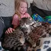 Alison Buckley - @alison.buckley80 - TikTok