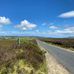 Alison Buckley - Facebook