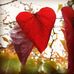 Allison Blackman - Facebook