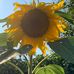 Alison Bunn - Facebook