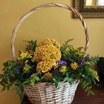 Alison Burch - @alison_burch_flower_herd - Instagram