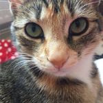 Alison Burch - @burch_alison - Instagram