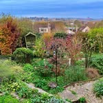 Alison Burt - @burtalison8 - Instagram