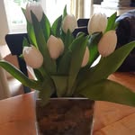 Alison Burt - @bramty13 - Instagram
