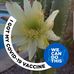 Alison Busch - Facebook