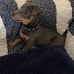 Alison Bush - Facebook