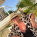 Alison Bushell - Facebook