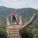 Alison Bushell - @alison.bushell.90 - Instagram