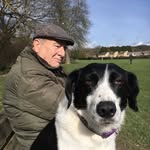 Alison Buss - @buss1966 - Instagram