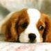 Alison Button - Facebook