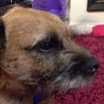 Alison Bygrave - @allyby28 - Instagram