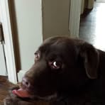 Alison Calloway - Facebook