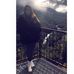 Alison Camacho - Facebook