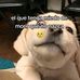 Alison Camp - Facebook