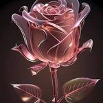 Alison Cardozo - @alison.cardozo.353 - Instagram