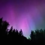 Alison Carlyle - @alison.carlyle - Instagram